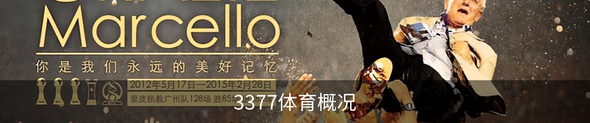 3377体育概况